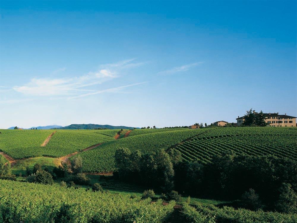 Agriturismo Tenuta La Marchesa Novi Ligure Exteriér fotografie